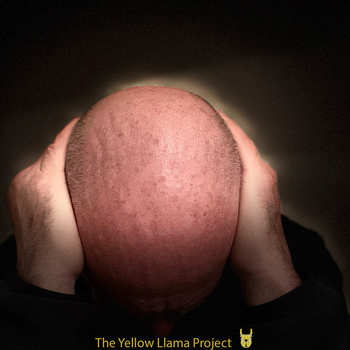All Those Voices - The Yellow Llama Project